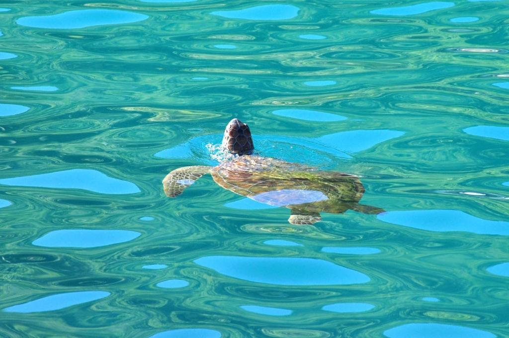 Estalagem Do Porto 4* Arraial do Cabo